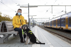 Oogvereniging